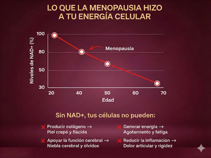 CelluNAD+ – Restauración celular